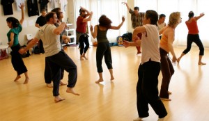 biodanza congress, holland