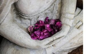 The hands of a Buddha statue are holding lotus petals
