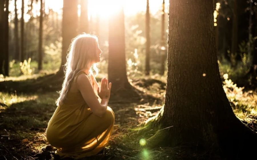 A meditating woman facing a tree in the middle of a forest, with sunlight sparkling through her