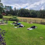 yoga retreat in italy