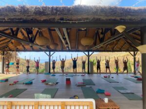 somatic yoga in Spain